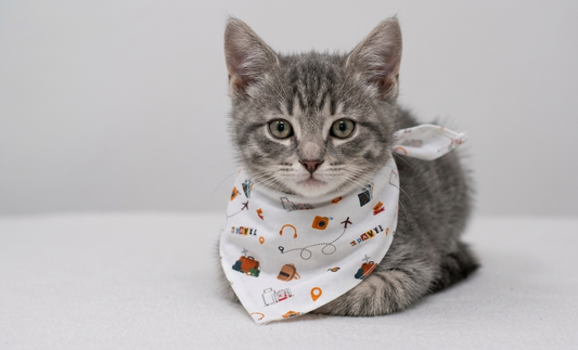 I've gotta Travel Pet Bandana